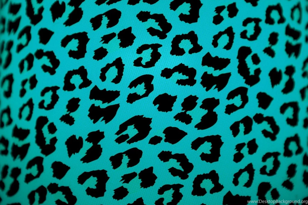 Wallpapers Animal Print   Wallpapers Pictures Gallery