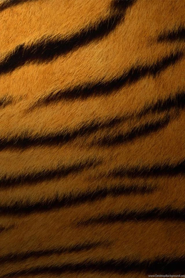 Animal Print Iphone 4 Backgrounds Fox Iphone 5 4 4s Case Iphone ...