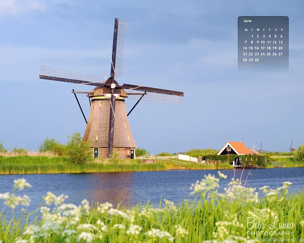 June 2010 Desktop Calendar