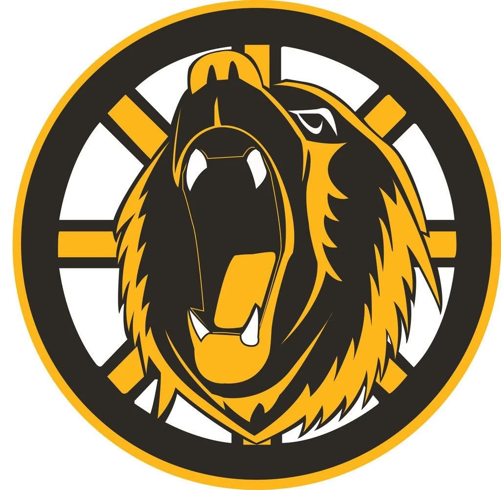 Boston Bruins Concept Logo By Broken bison On DeviantArt