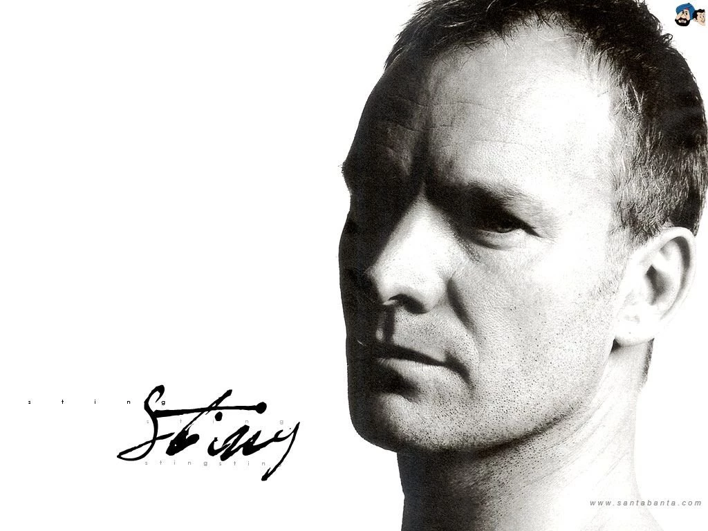 Sting Sting Wallpapers (59369) Fanpop