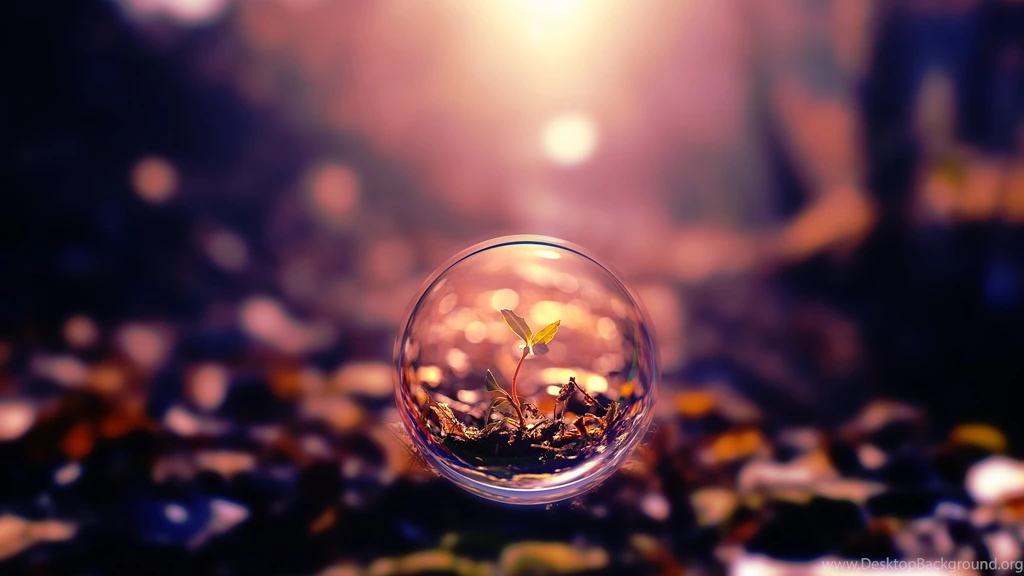 Small Plant In A Bubble Wallpapers