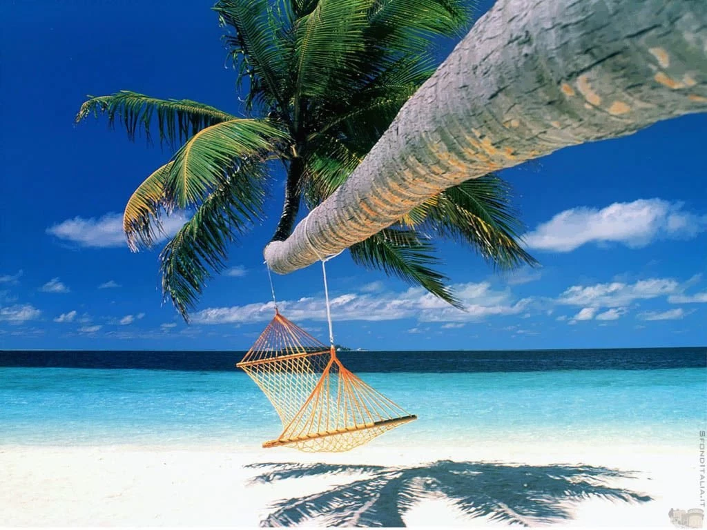 999x988px Hammock Beach Wallpapers