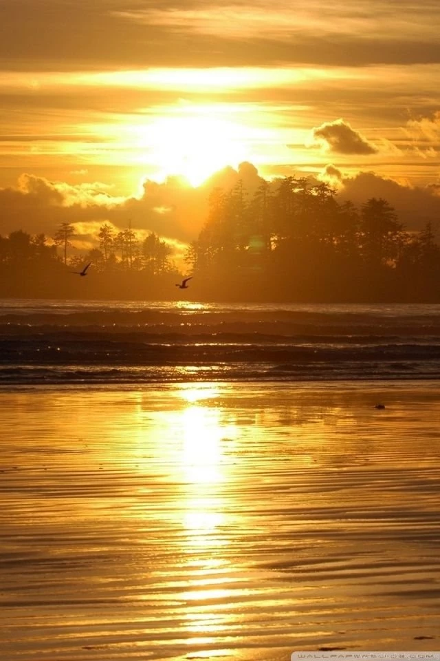 Beach Scene Sunrise HD Desktop Wallpapers : Widescreen : High ...