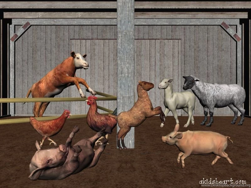 Animal Themes Wallpaper: Barn Dance