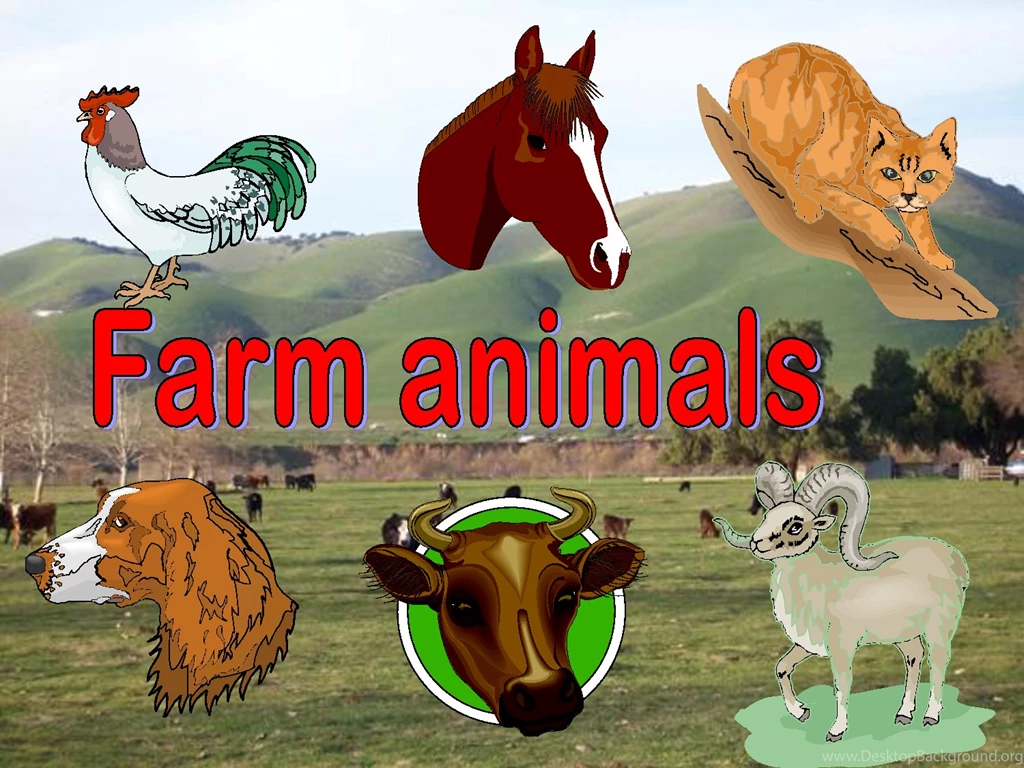 Beautiful Animal Wallpapers &Amp; Animal Wallpapers &Amp; Random ...