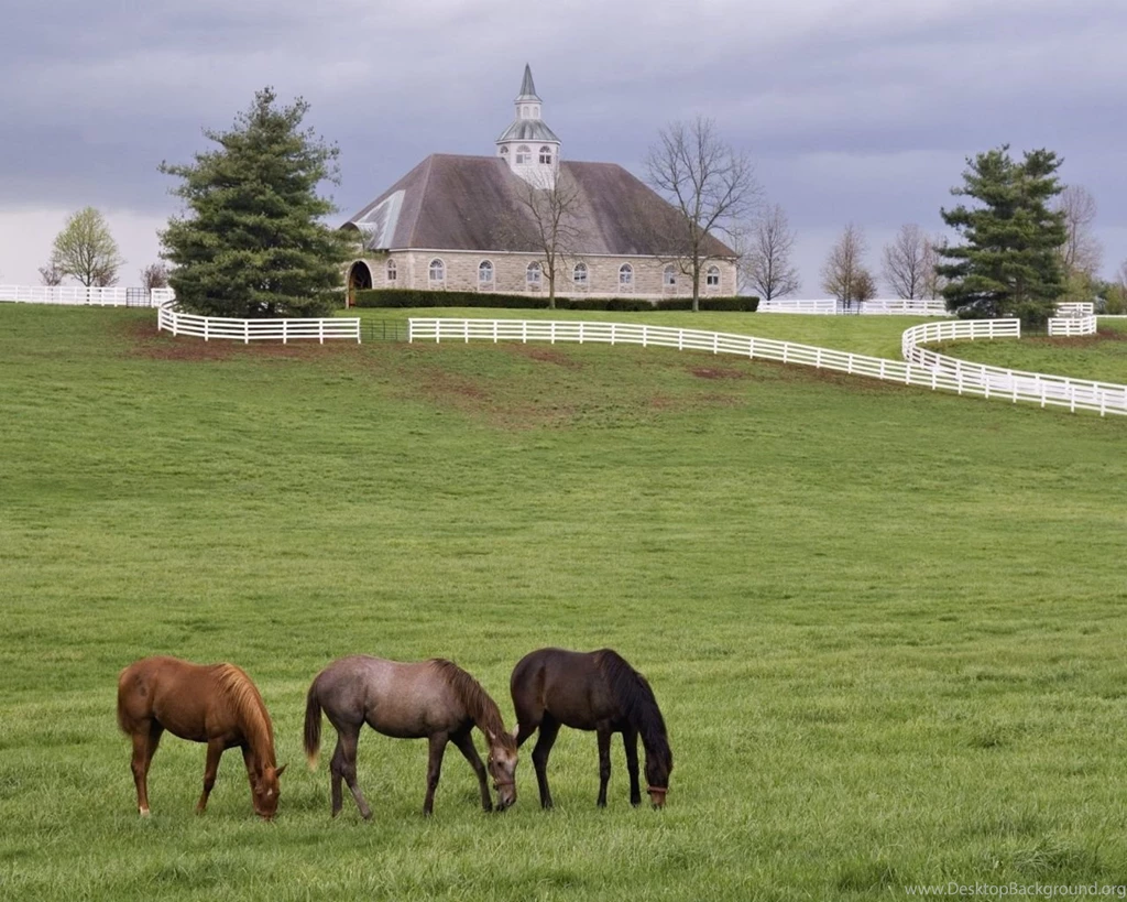 Hd Wallpapers 1240x1024   Wallpapers Toplist