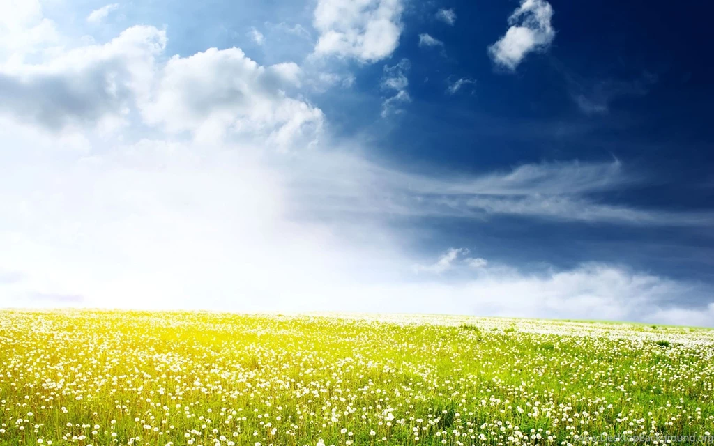 Beautiful Beach Hd Wallpapers (37)