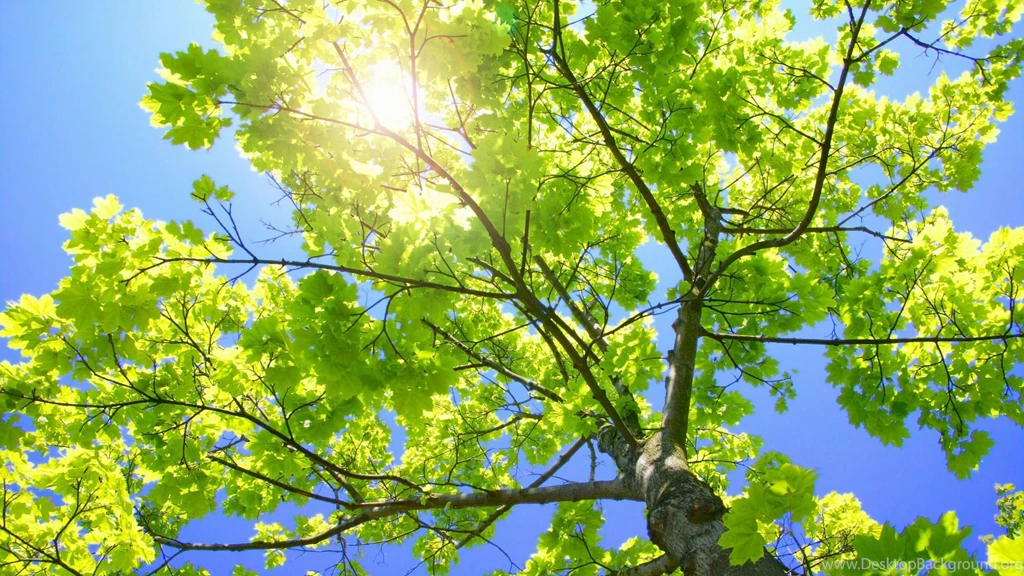 Laptop Wallpapers Free   Wallpapers Cave