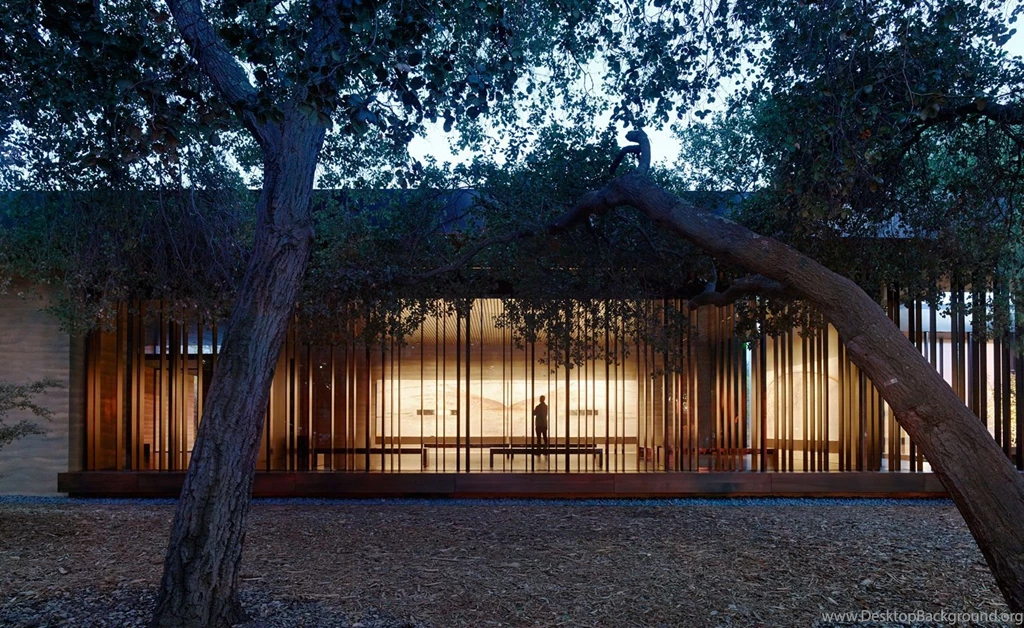 Nathan Oliveira's Windhover Paintings Get A Tranquil New Home At ...