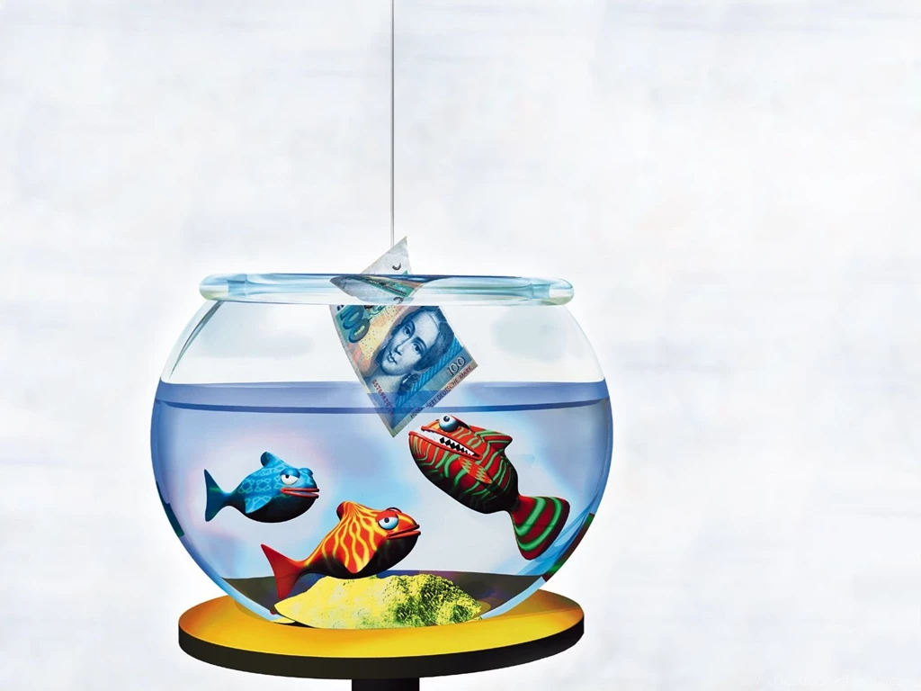 3D Fish Love Money HD Wallpapers