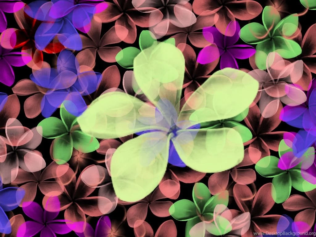 Pretty Wallpapers