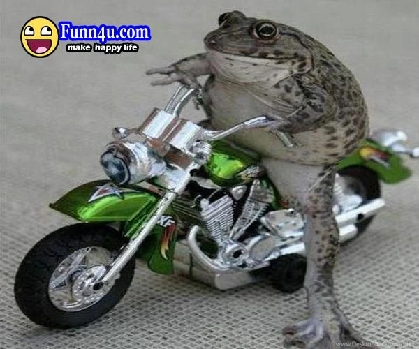 New Funny Bike Wallpapers