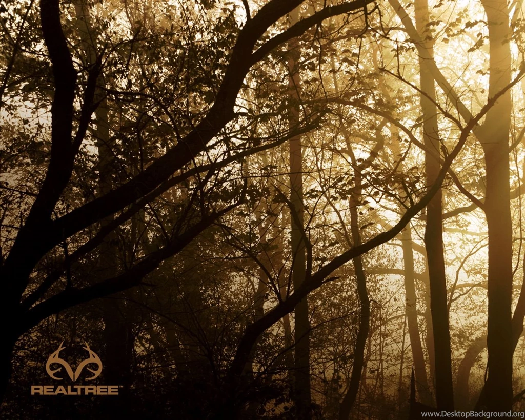 1280x800px Beautiful Realtree Wallpapers