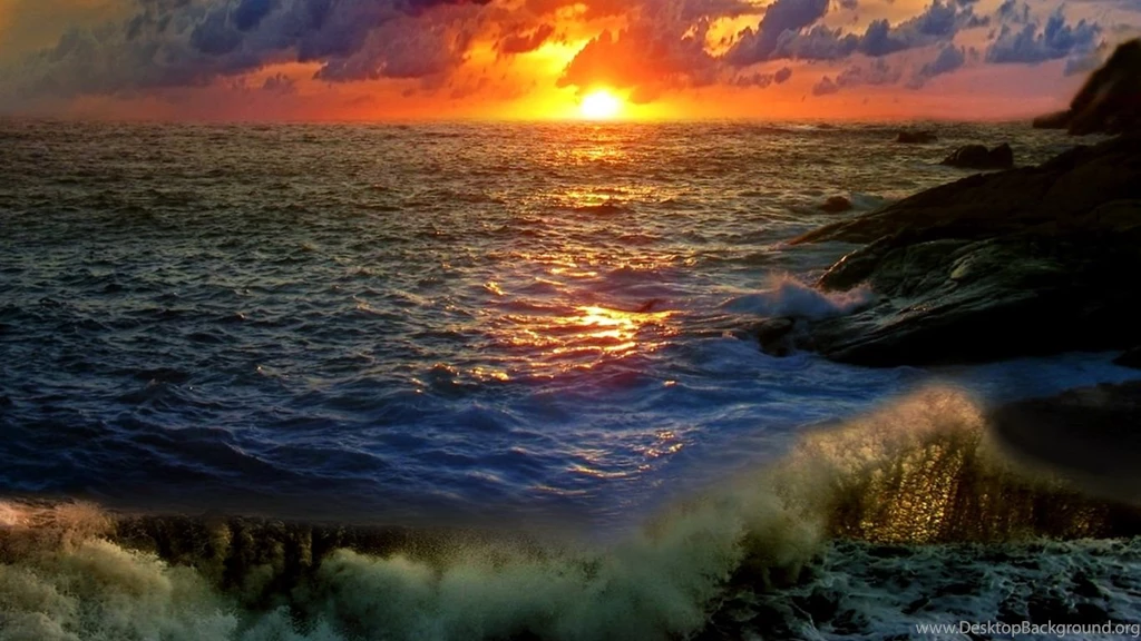 1366x768 Weird Fishes Desktop PC And Mac Wallpapers