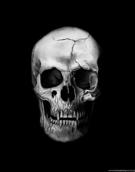 Wicked Vampire Skull Love The Details
