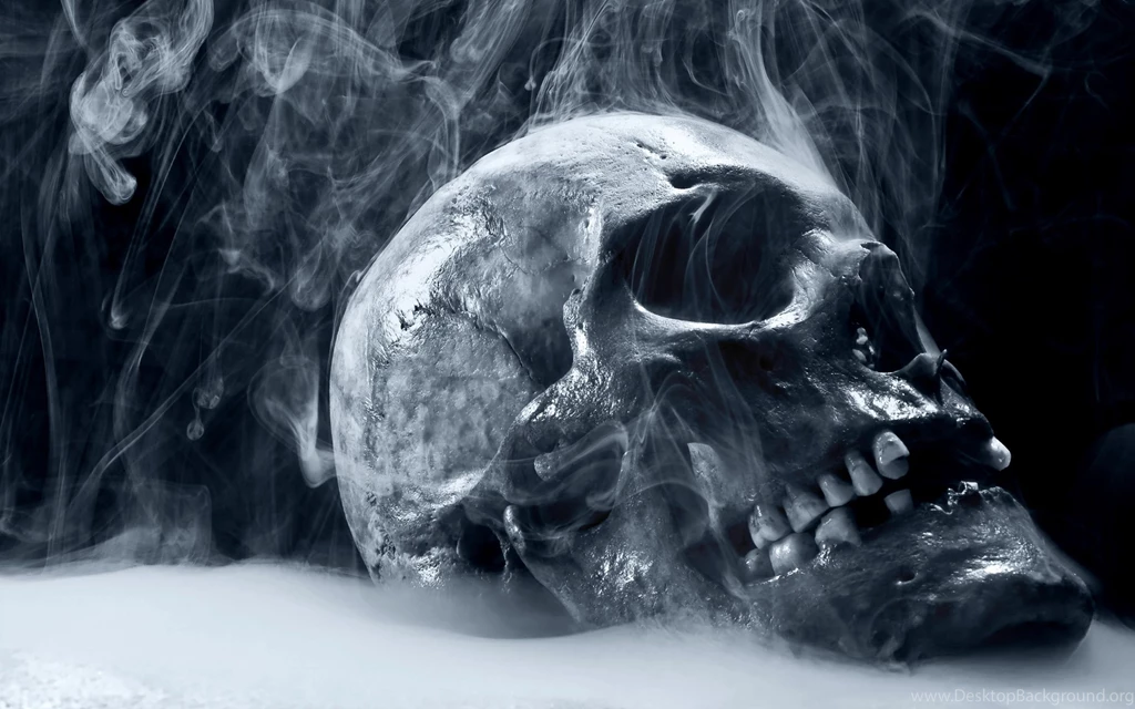 Vampire Skull Wallpapers Perfectwallpapers.net