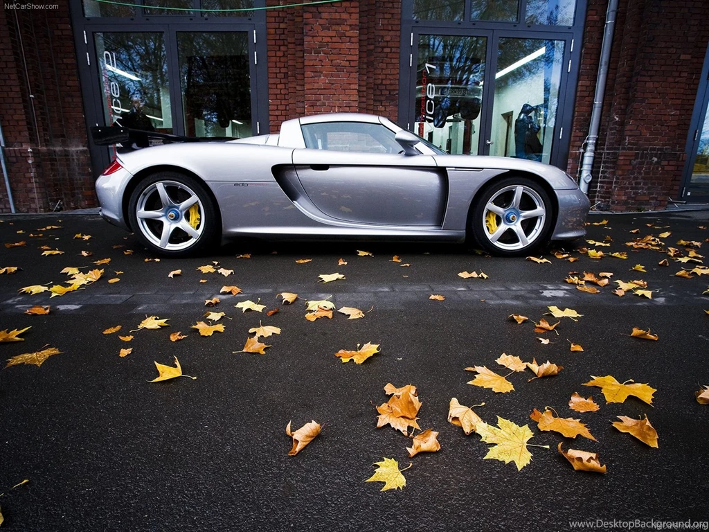 Edo Competition Porsche Carrera GT Picture