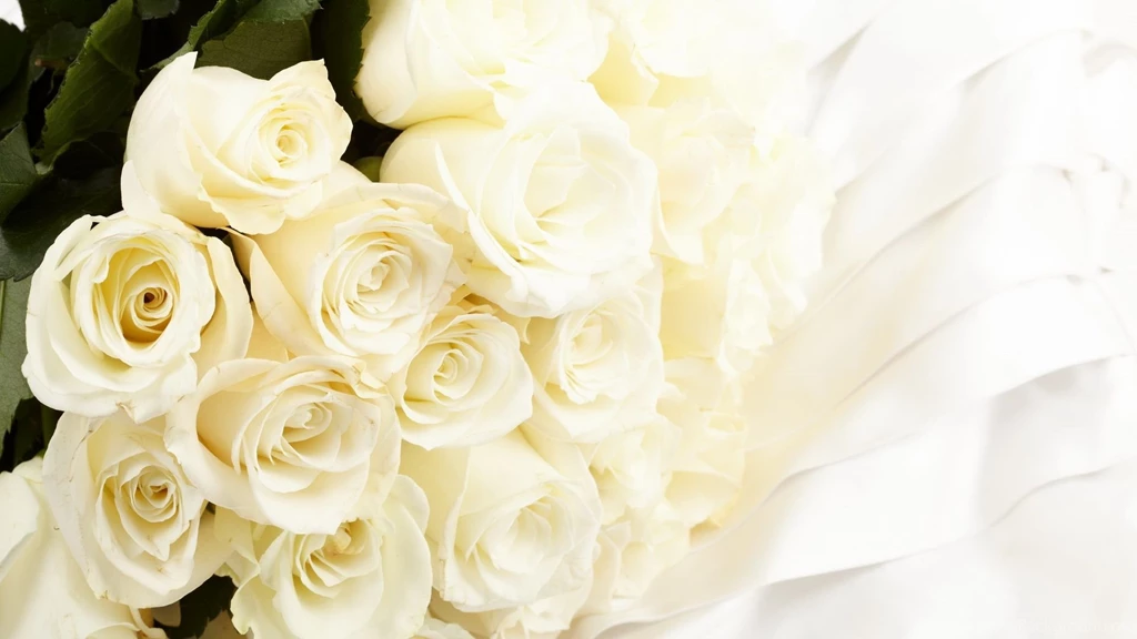 Most Beautiful White Roses For Wedding Or Other Special Moments ...