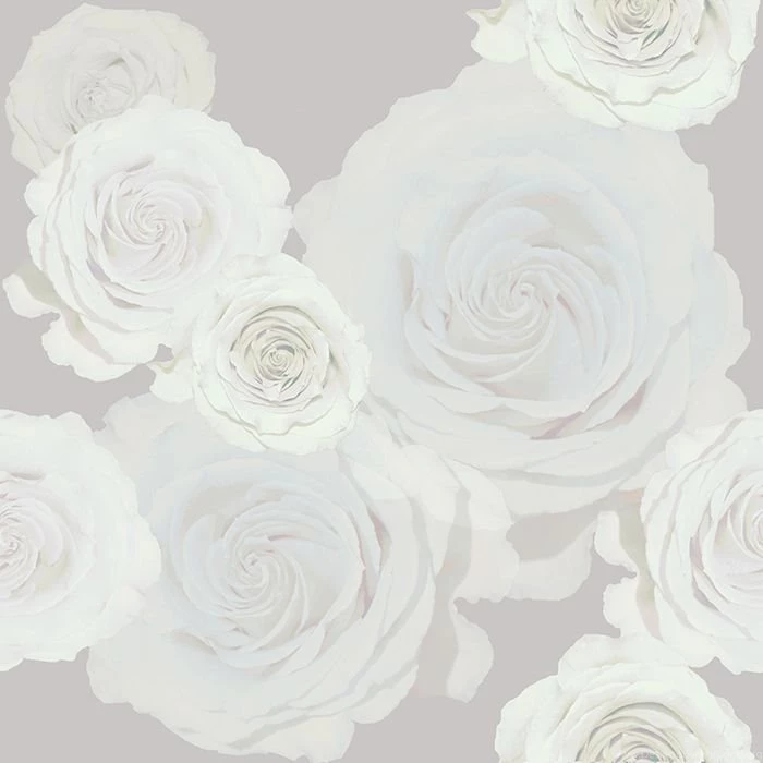 White Roses Wallpapers