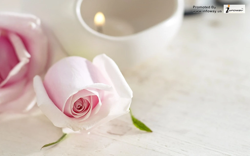 Black And White Nature Wallpapers   Photo 191 Of 267