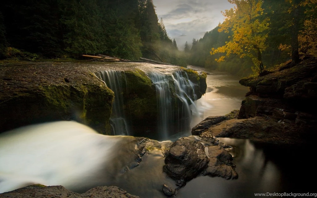 Wild River Wallpapers   1920x1200   368034