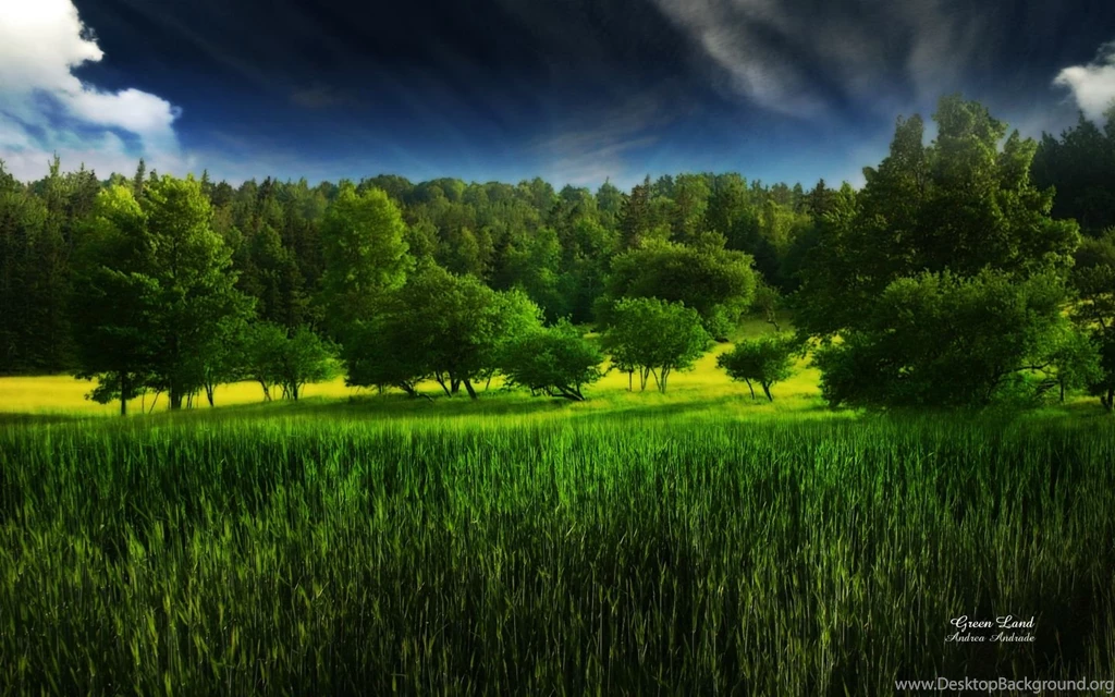 Green Land By AndreaAndrade On DeviantArt