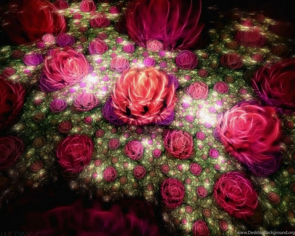 Beautiful Wallpapers Picture