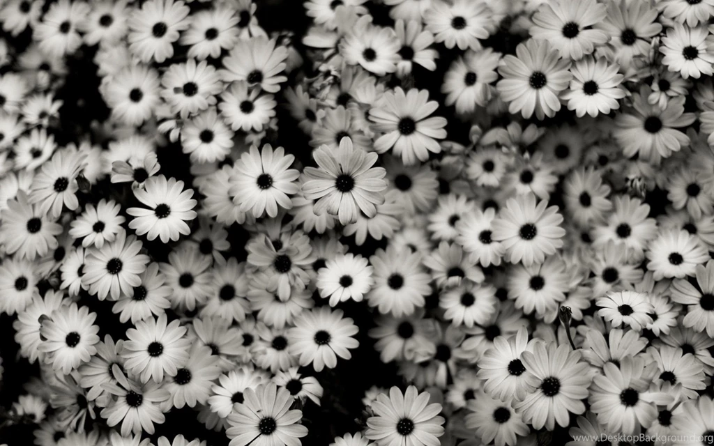 Cool Backgrounds Tumblr Free Large Images