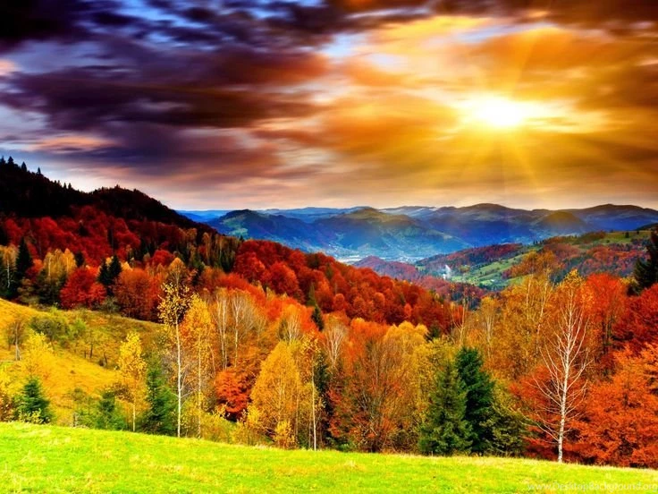 Beautiful Scenery In The World