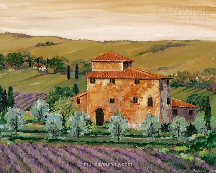 Scenic Wall Mural Morning Fox Ideas   Wallpapers Mural Ideas   12764