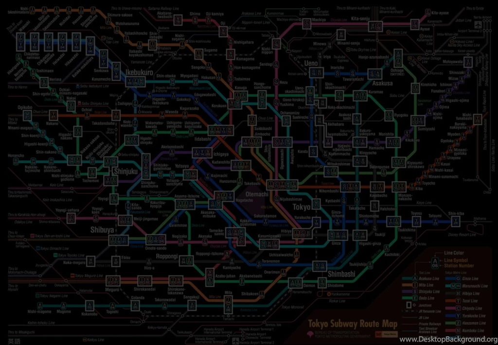 A Simple Map Of The Tokyo Metro : WTF