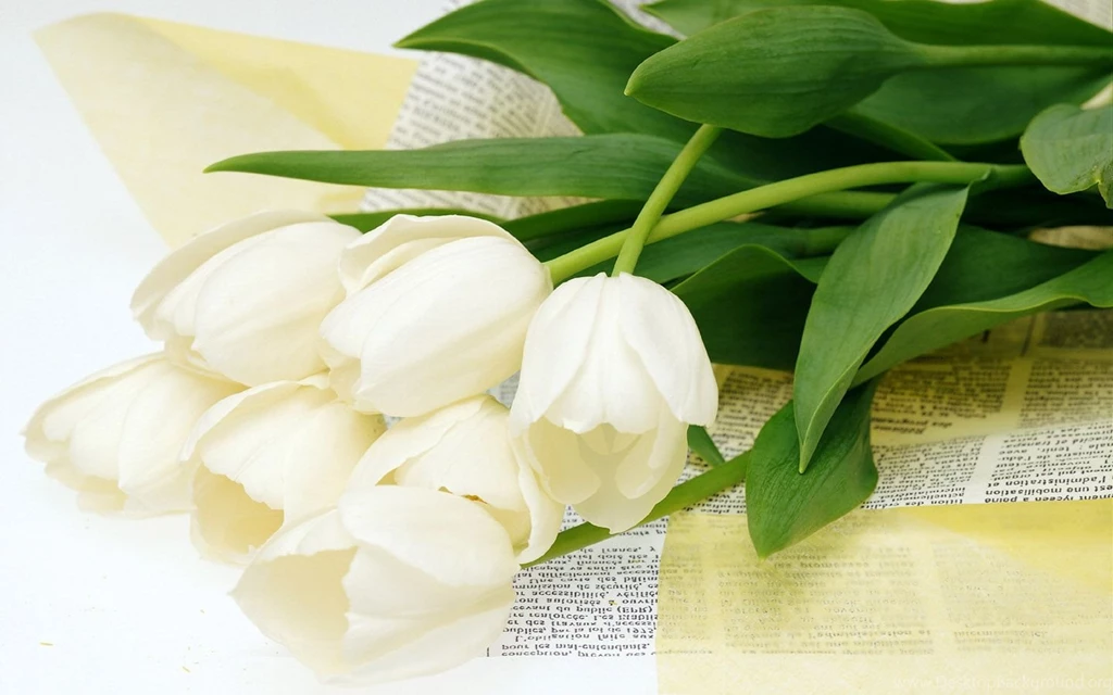High Resolution Images Of Flowers Wallpapers HD Base
