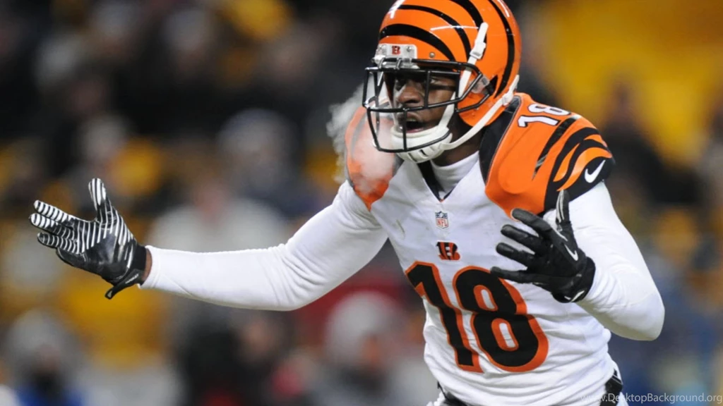 Three and out: Were Vikings Considering Drafting Dalton ...