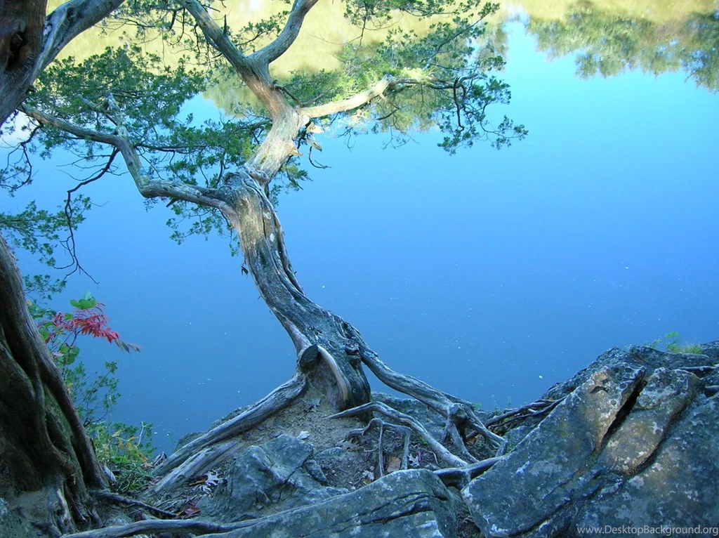 Friday Photo: Serene « Here To Create
