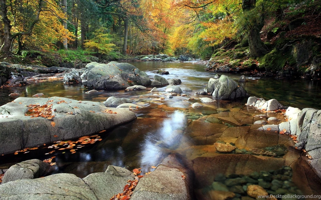 Stream Desktop Wallpapers HD Wallpaper Backgrounds Of Your Choice