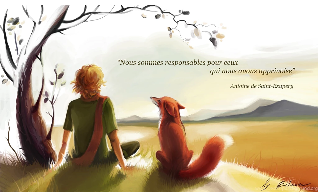 The Little Prince Photo Wallpapers, Pictures With The Little Prince