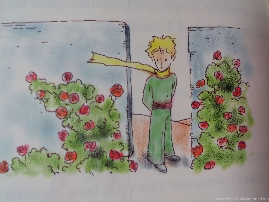 Adventures Of The Little Prince Wallpapers And Images   Wallpapers ...