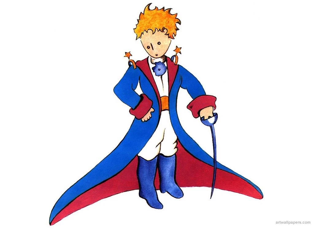 The Little Prince Quotes Chapters. QuotesGram