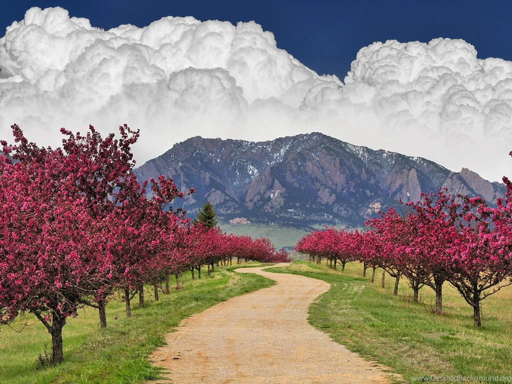 Blooming Spring In Flatirons, Colorado – Extreme Outdoor Hiking ...