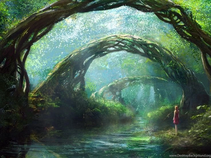 Fantasy Forest Wallpapers Love It Very Intriguing