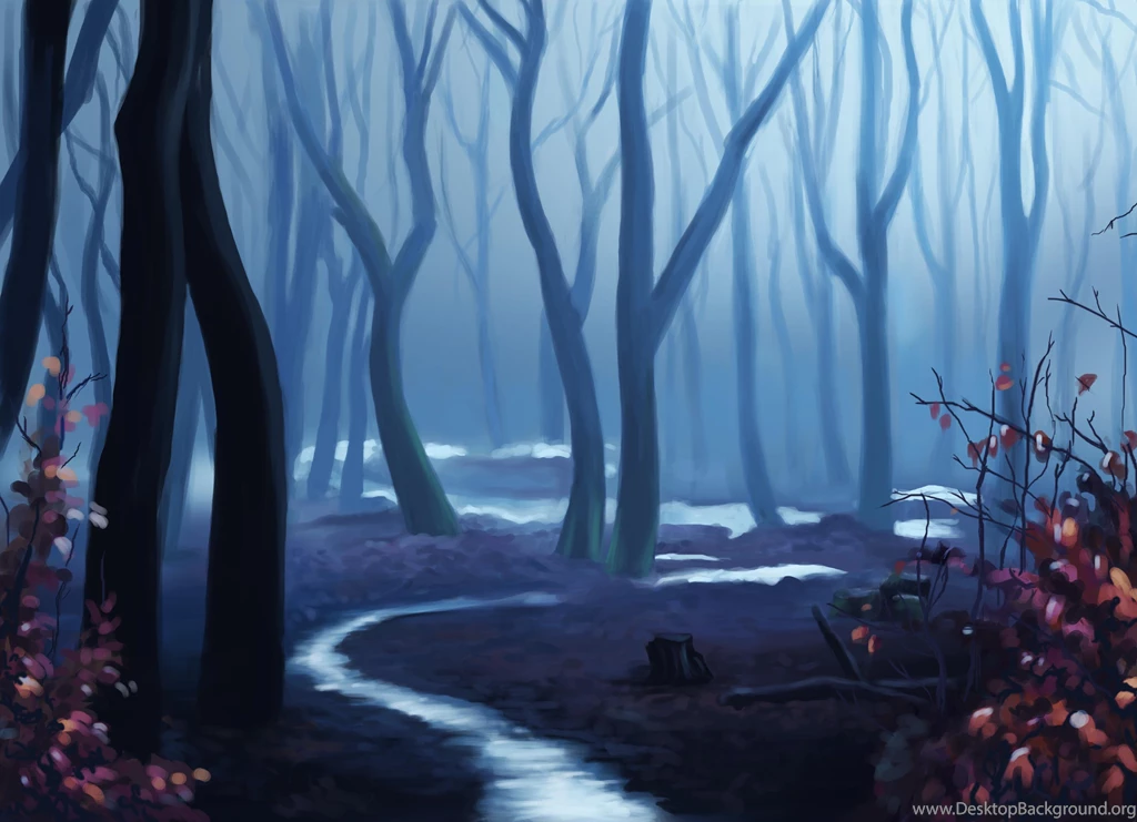 Forest Computer Wallpapers, Desktop Backgrounds
