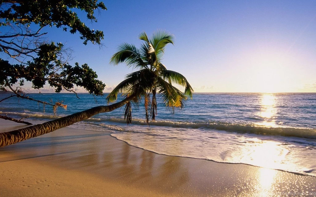 Reunion Island Wallpaper 12 45247 for Desktop Backgrounds ...