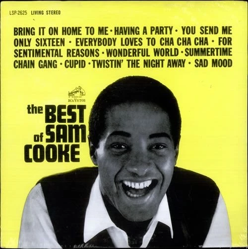 Sam Cooke's Quotes, Famous And Not Much   QuotationOf . COM