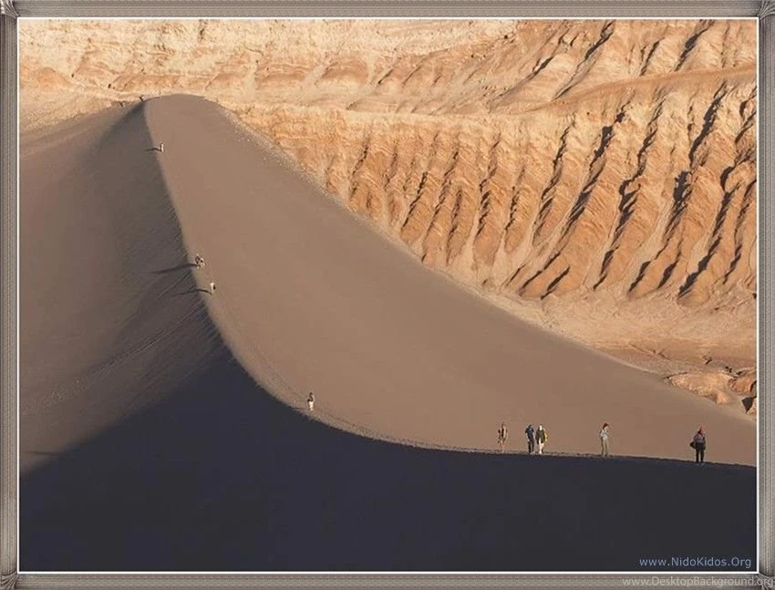 Nexus 4 Wallpapers: Water Sun Desktop Background Images. Flowers ...