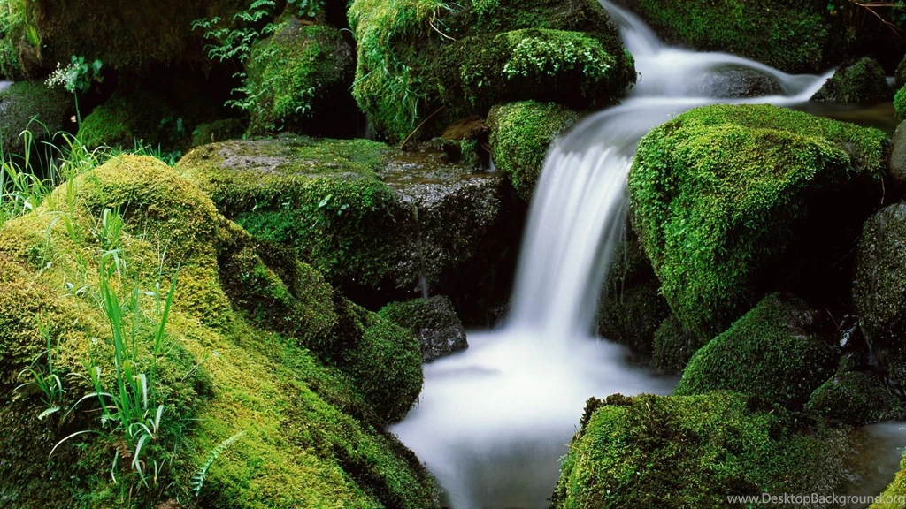 Creek Desktop Wallpaper, Creek Background, New Wallpapers