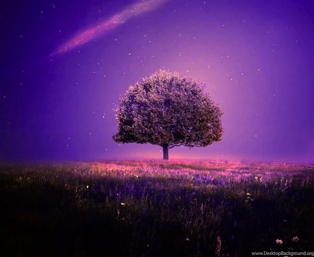 Winter Night Live Wallpapers By BaxiaArt On DeviantArt