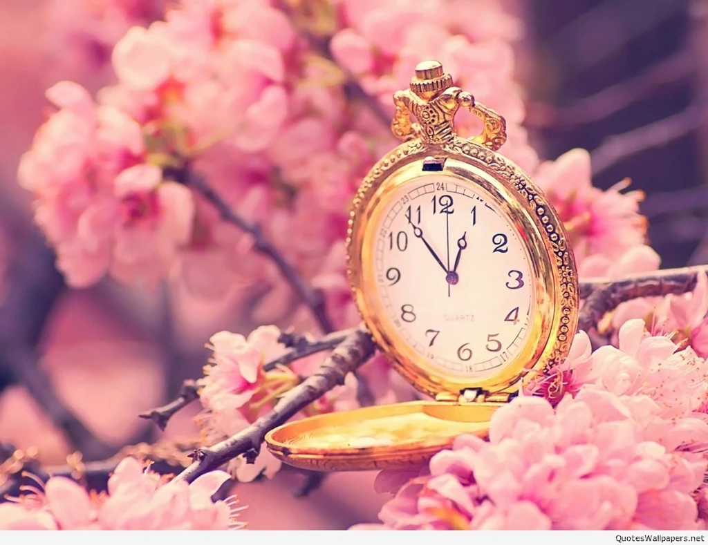 Top Wonderful Spring Wallpaper Backgrounds 2016 2017