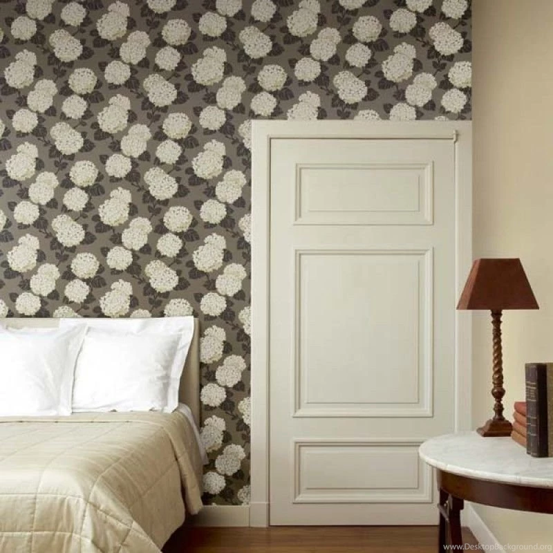 Coral_room_3 800x800.jpg