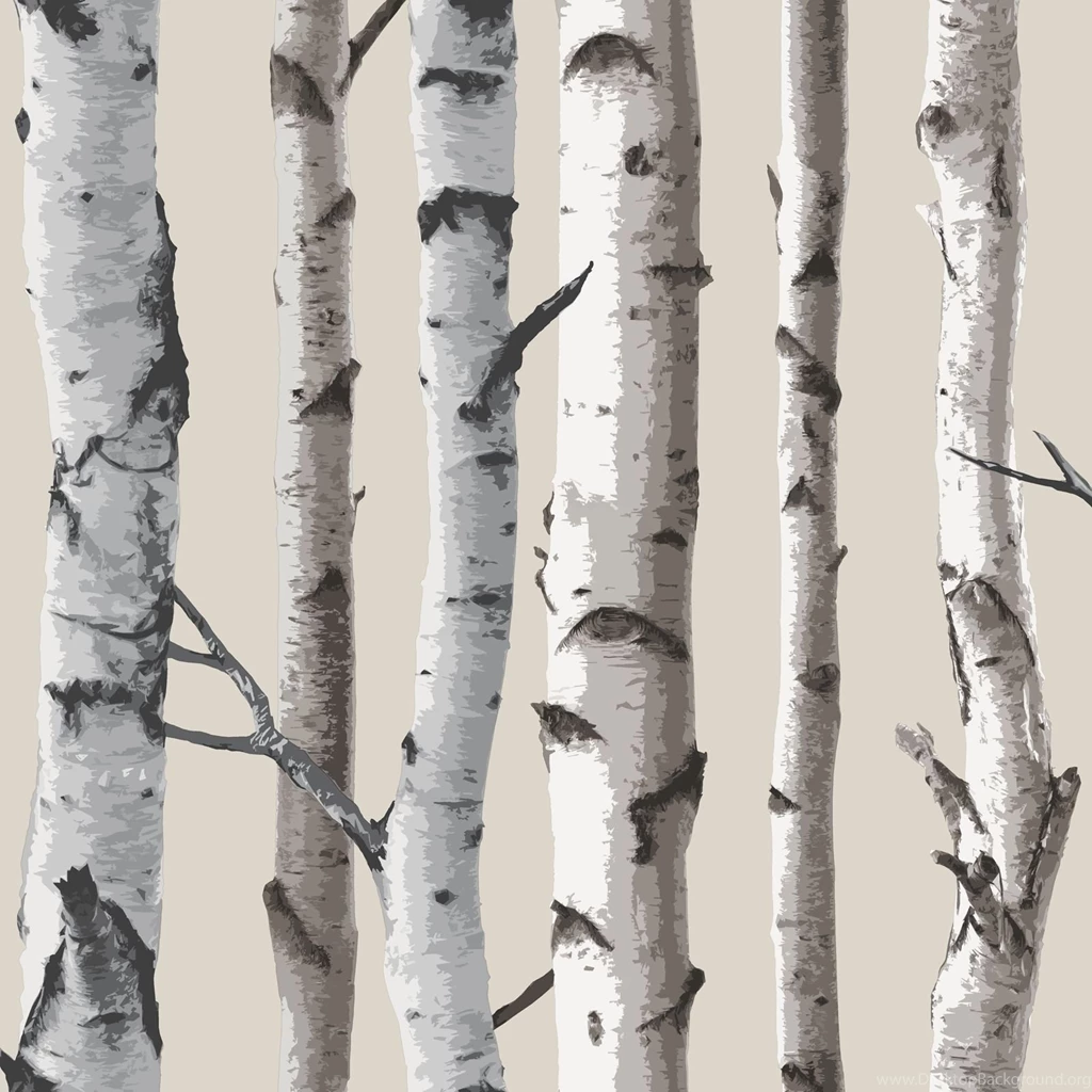 FINE DECOR BIRCH TREES 10m FOREST WALLPAPER CREAM & SILVER + ...